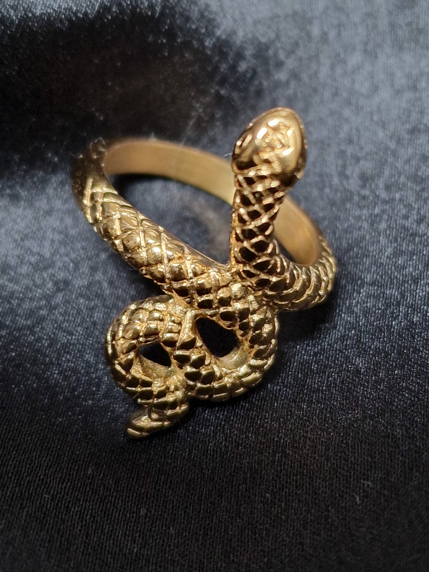 Ring Snake